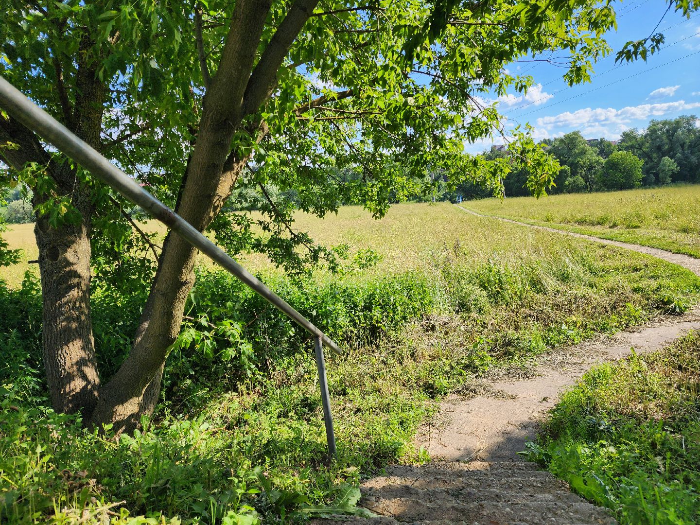Подольск, выездная администрация, Деревня Лемешево, обращение жителей,