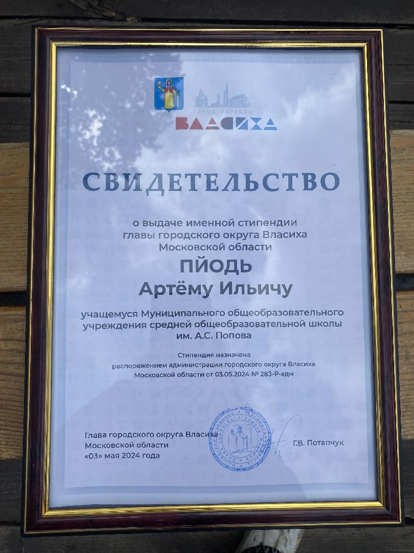 молодая гвардия подмосковья, МГЕР Власиха, школа перспектива власиха, Школа им АС Попова, молодежный парламент,