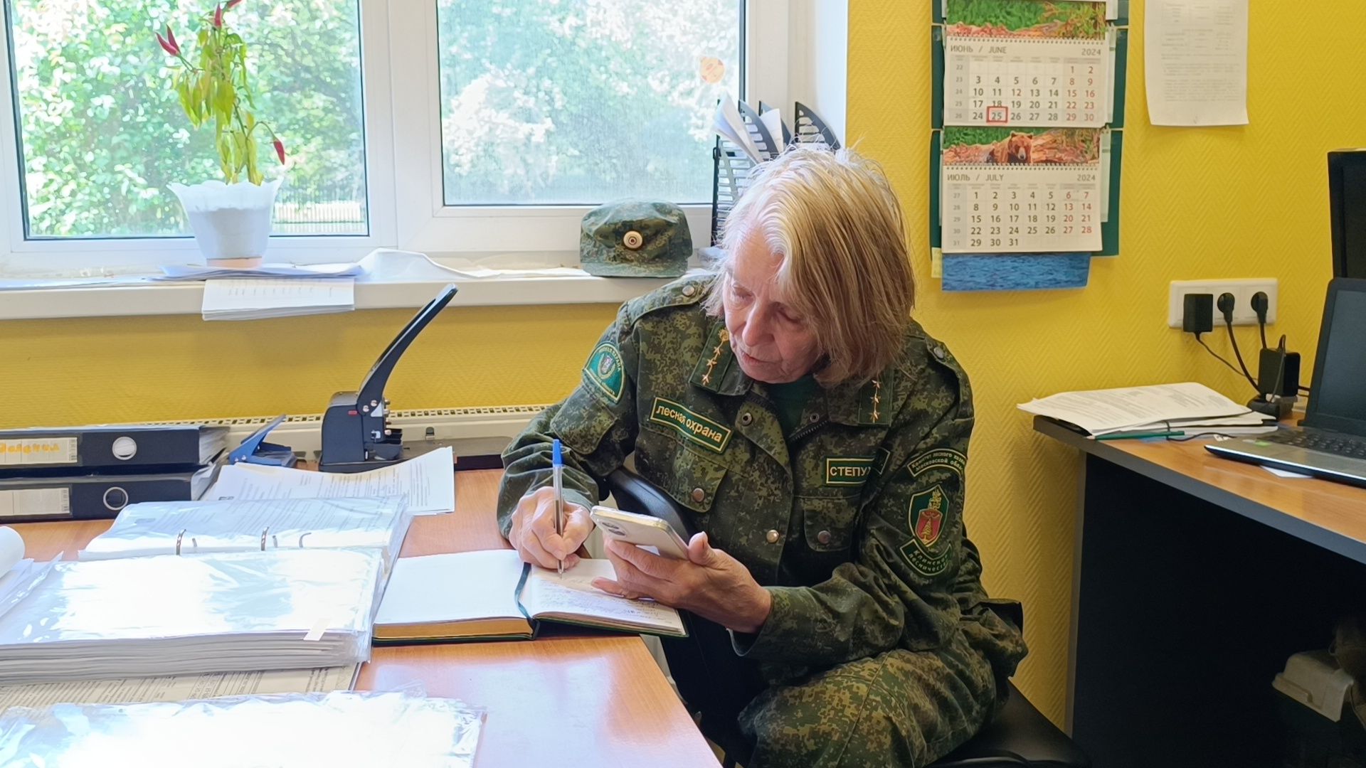 экология, лес, лобня,