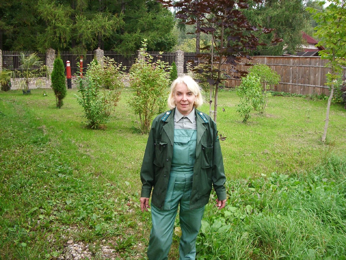 экология, лес, лобня,