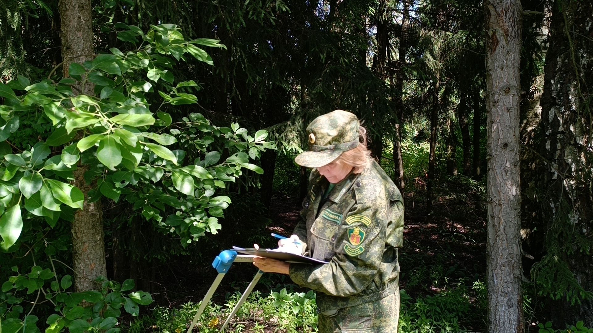 экология, лес, лобня,