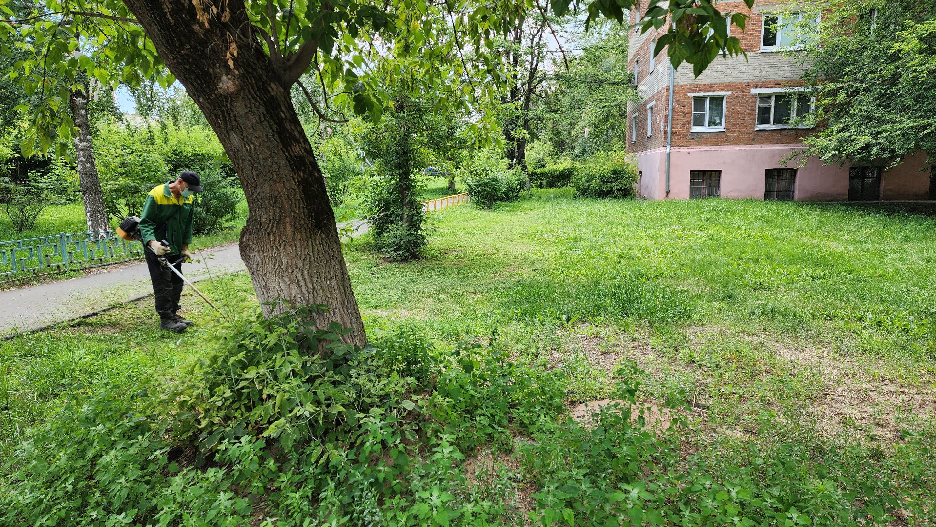 покос травы, управляющая компания, благоустройство,