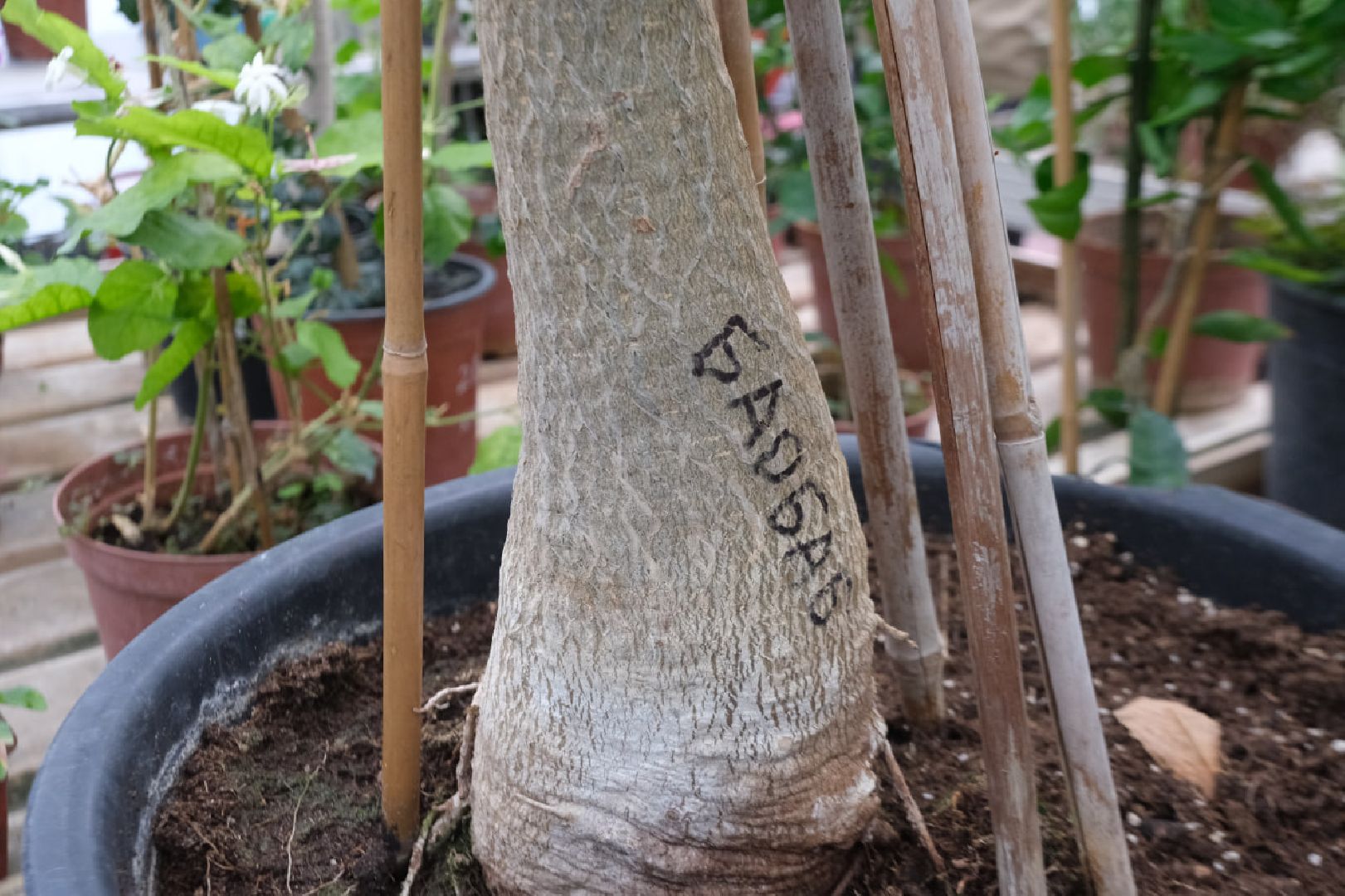 пущино, серпухов, наука, образование,