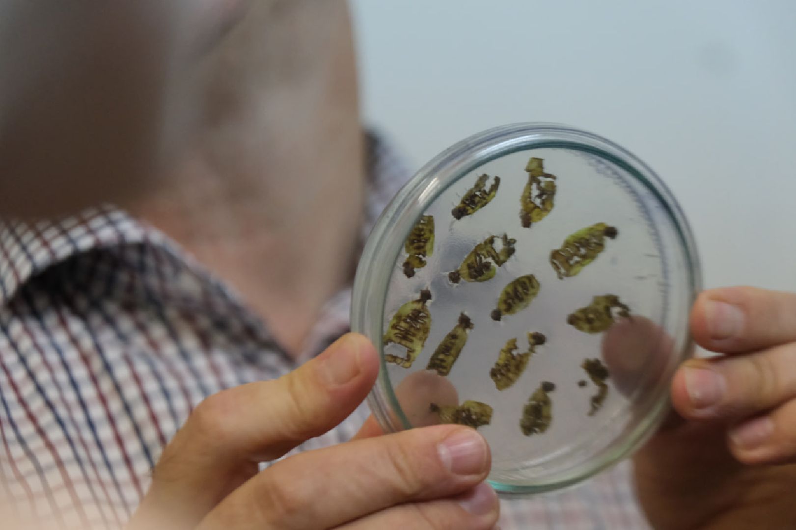 пущино, серпухов, наука, образование,