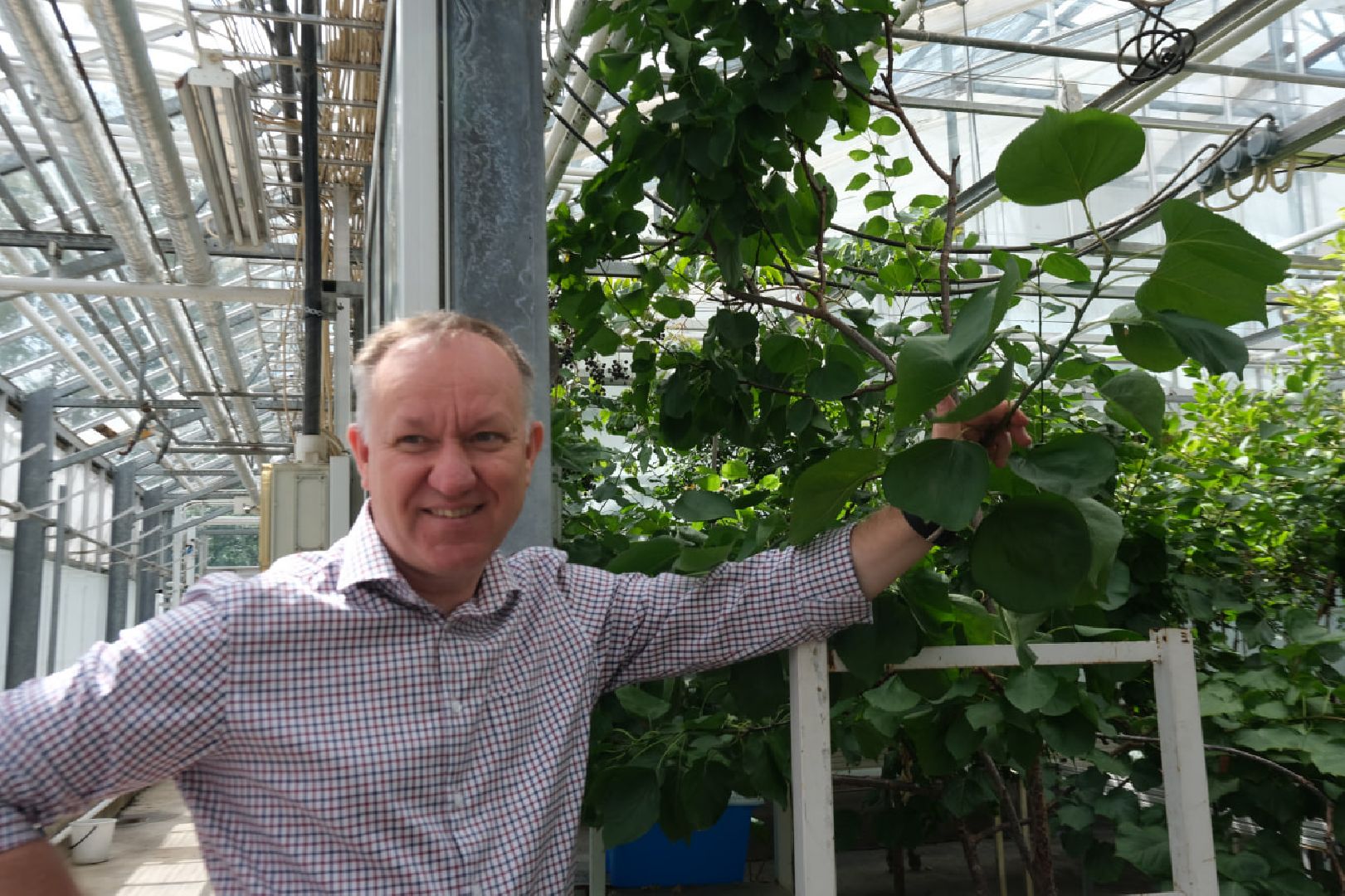 пущино, серпухов, наука, образование,