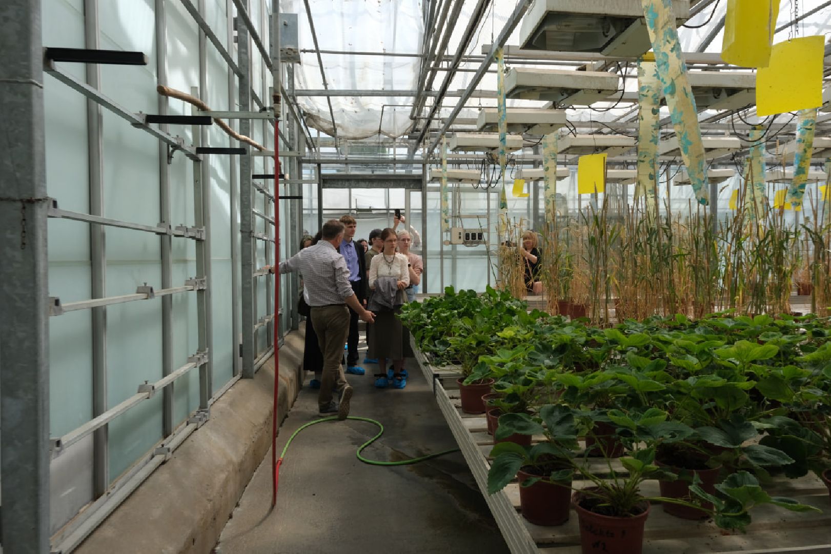 пущино, серпухов, наука, образование,