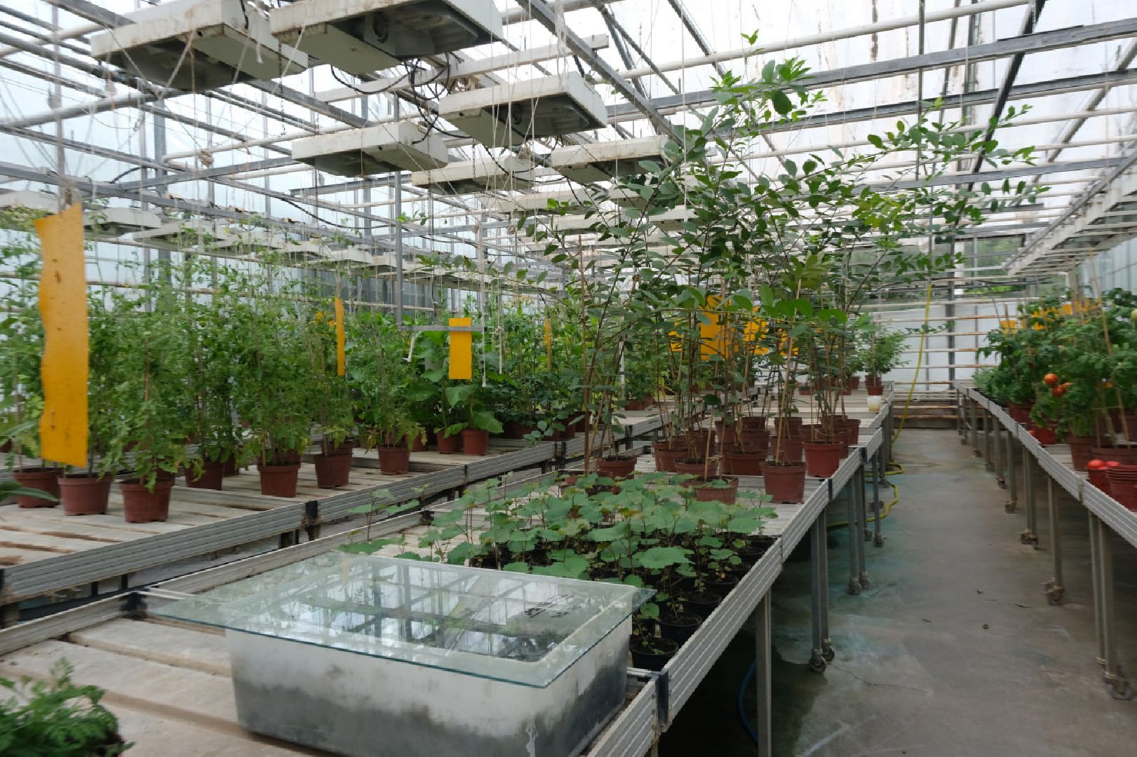 пущино, серпухов, наука, образование,