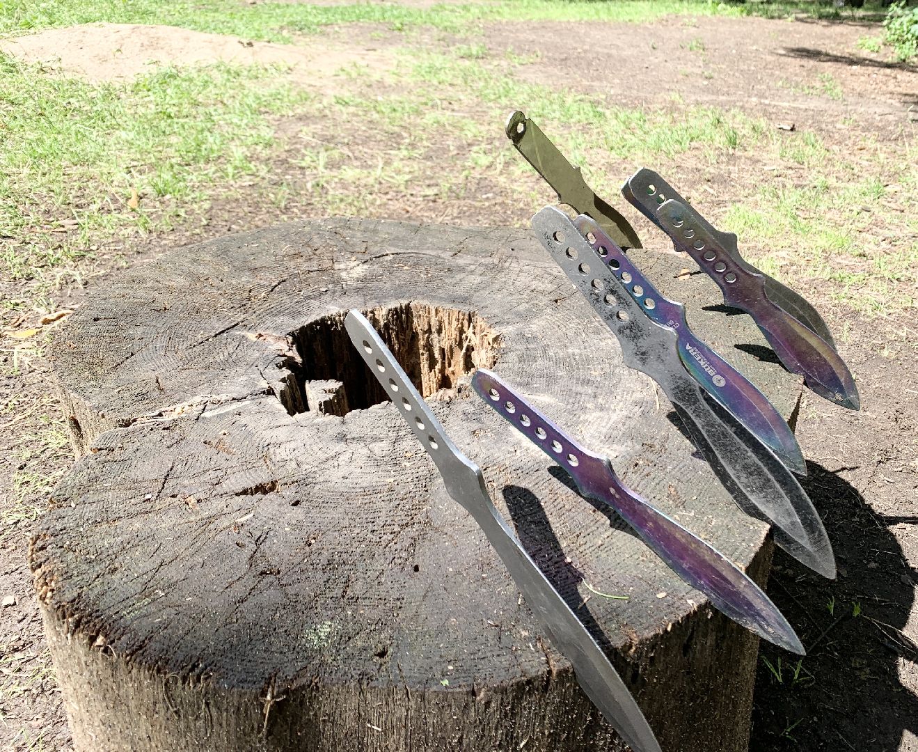 Балашиха, Подмосковье, школьное лесничество, природа, Экология, Спортивно-оздоровительный слет, Ногинский филиал ГКУ МО Мособллес», Зов природы, Школа разведчиков,