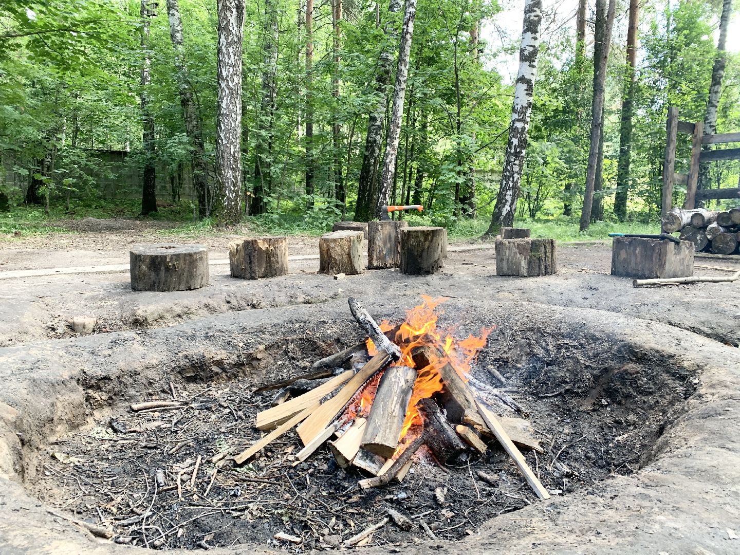Балашиха, Подмосковье, школьное лесничество, природа, Экология, Спортивно-оздоровительный слет, Ногинский филиал ГКУ МО Мособллес», Зов природы, Школа разведчиков,