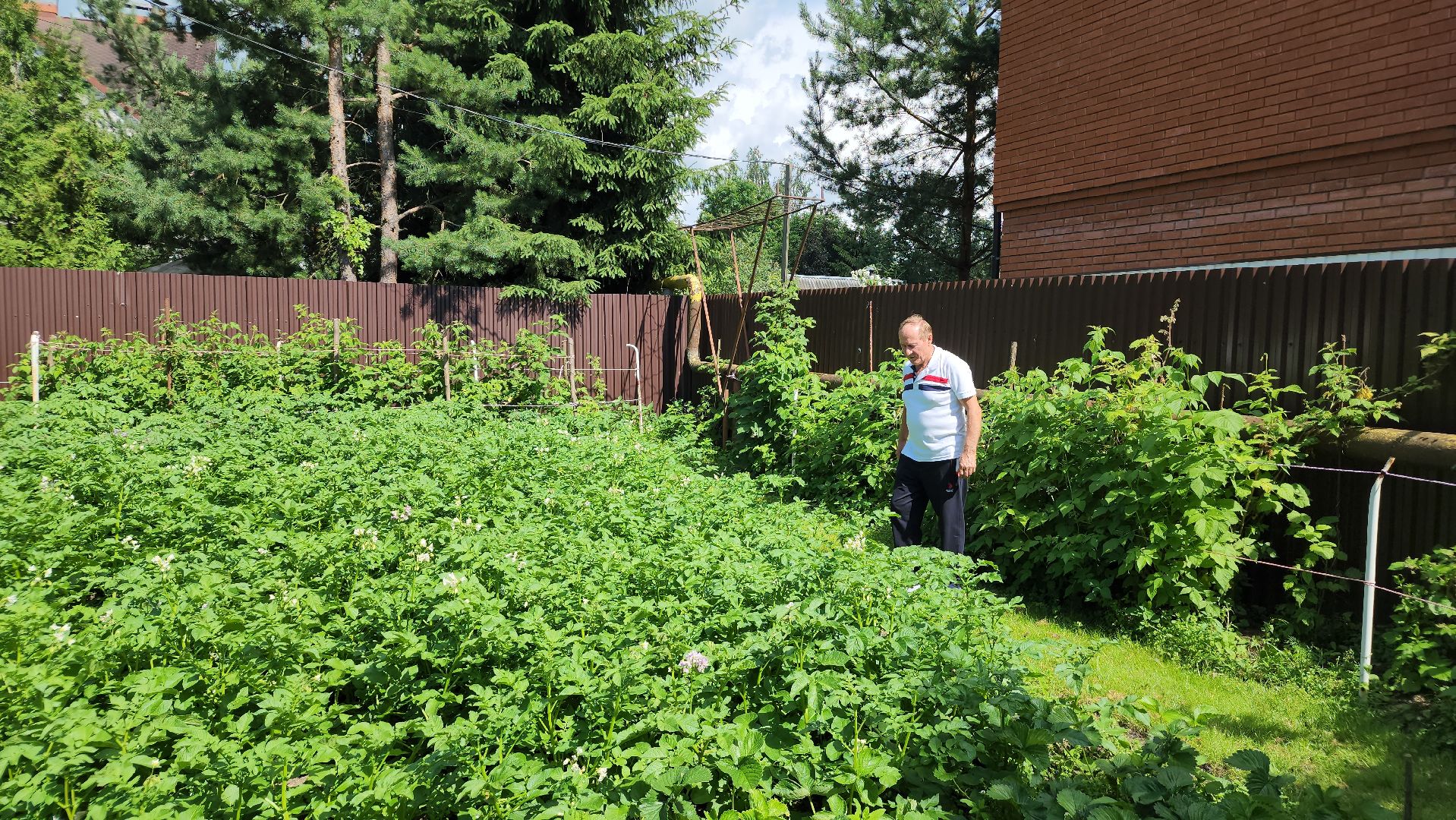 юбилей семейной жизни, золотая свадьба, Лосино-Петровский,