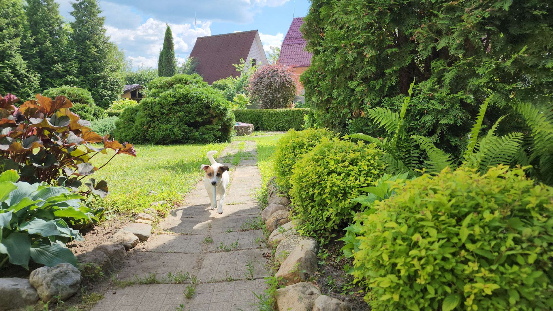 юбилей семейной жизни, золотая свадьба, Лосино-Петровский,