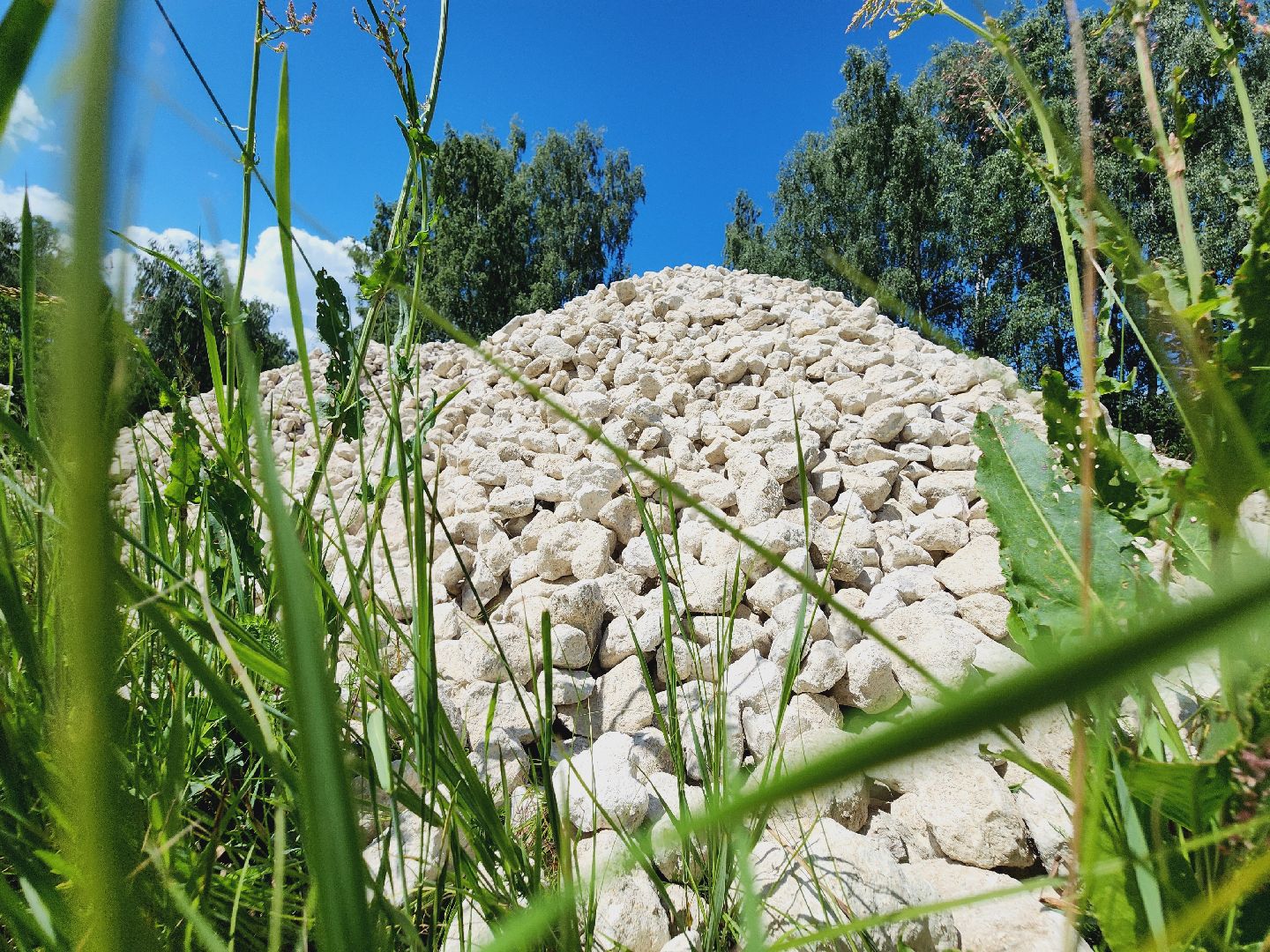 Егорьевск, Подмосковье, Московская область, Дороги, Двойни,