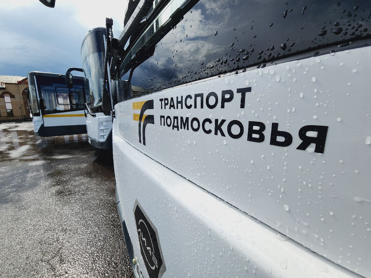 Егорьевск, Подмосковье, Московская область, Новый автобус,