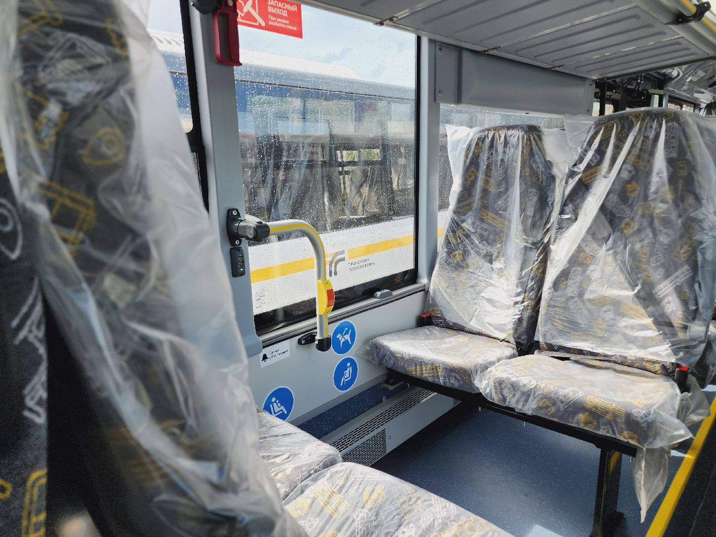 Егорьевск, Подмосковье, Московская область, Новый автобус,