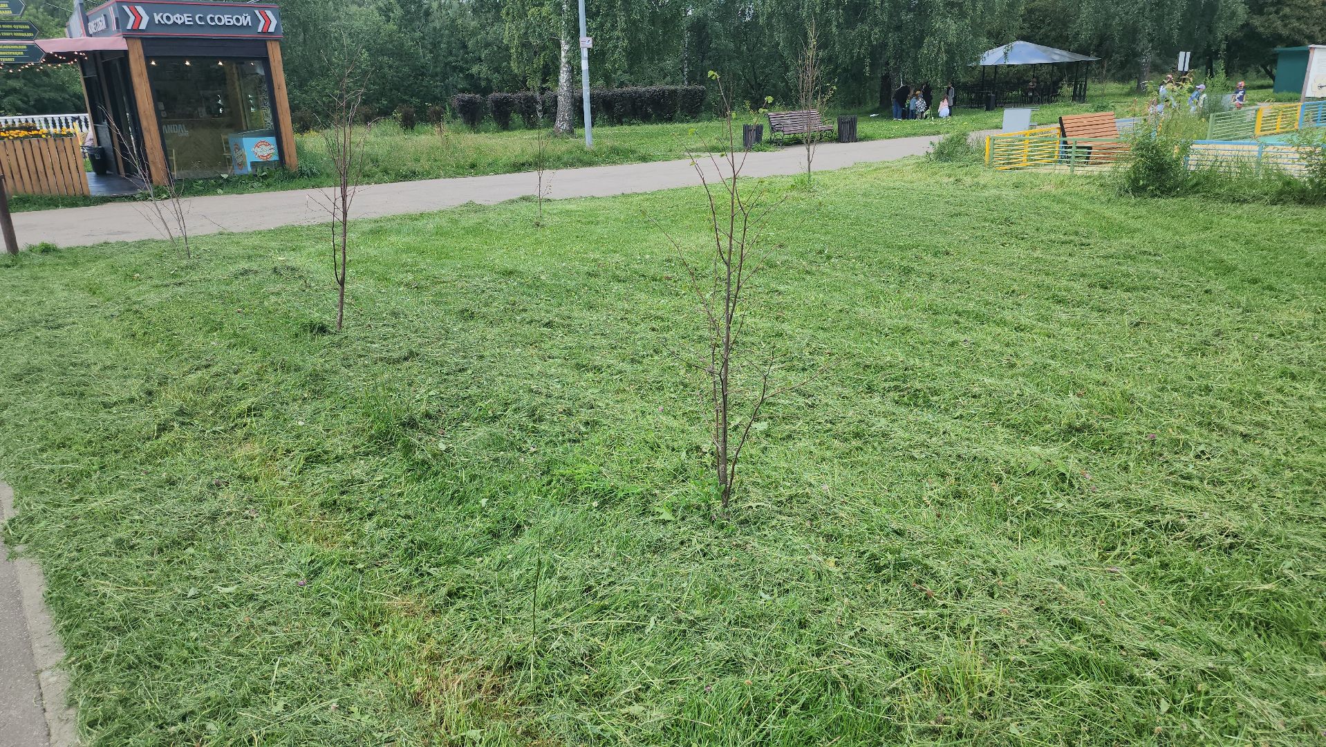 долгопрудный, покос травы, парк на молодежной, парк мысово, Медиапикник,