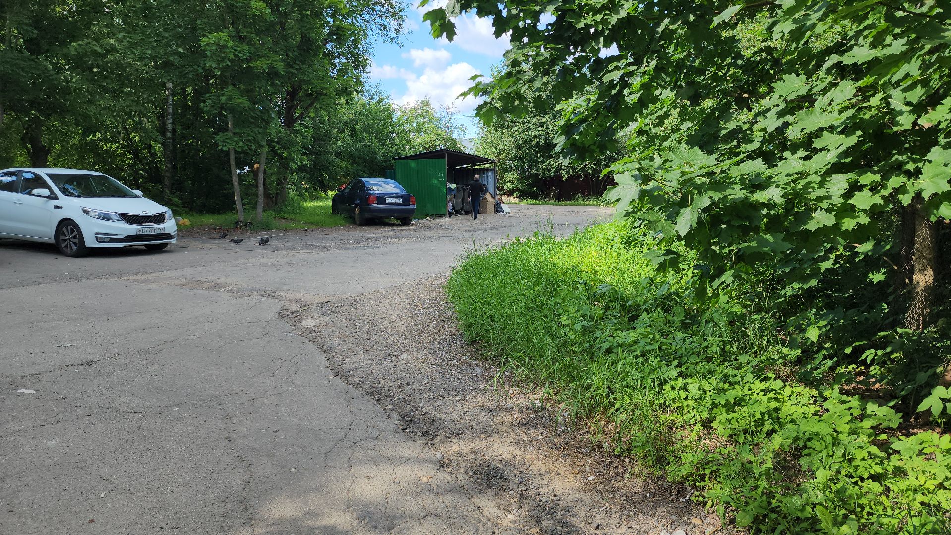 выездная администрация, выездная администрация руза, контейнерная площадка, ремонт пешеходной дорожки, рузский городской округ, московская область,