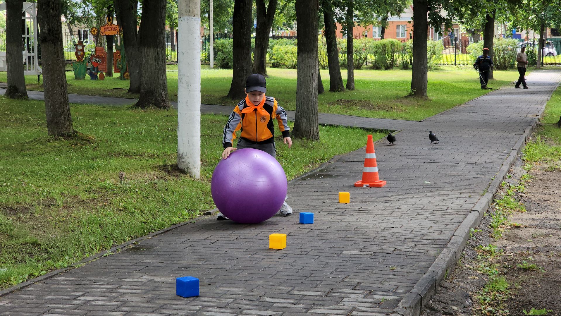 егорьевск, парк, пегас, ГАИ, квест, пдд, правила дорожного движения,