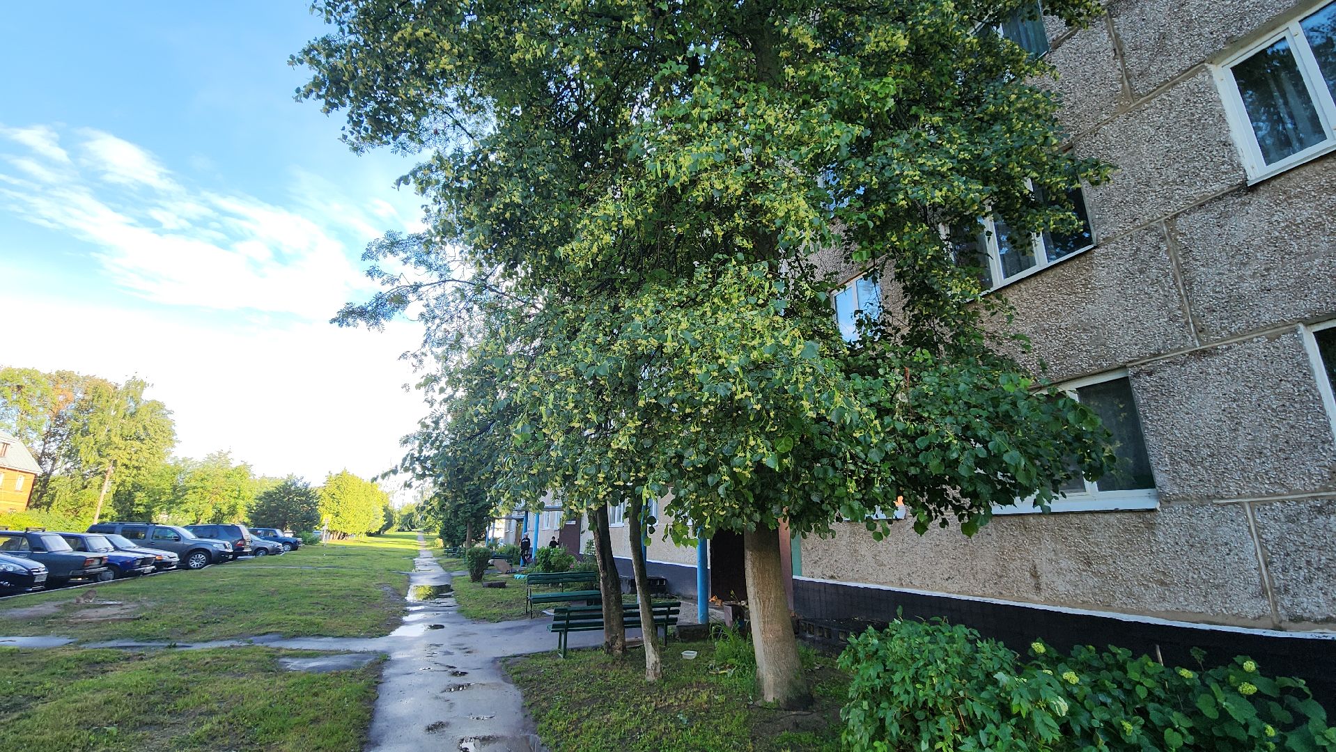 ступино, выездная администрация, благоустройство,