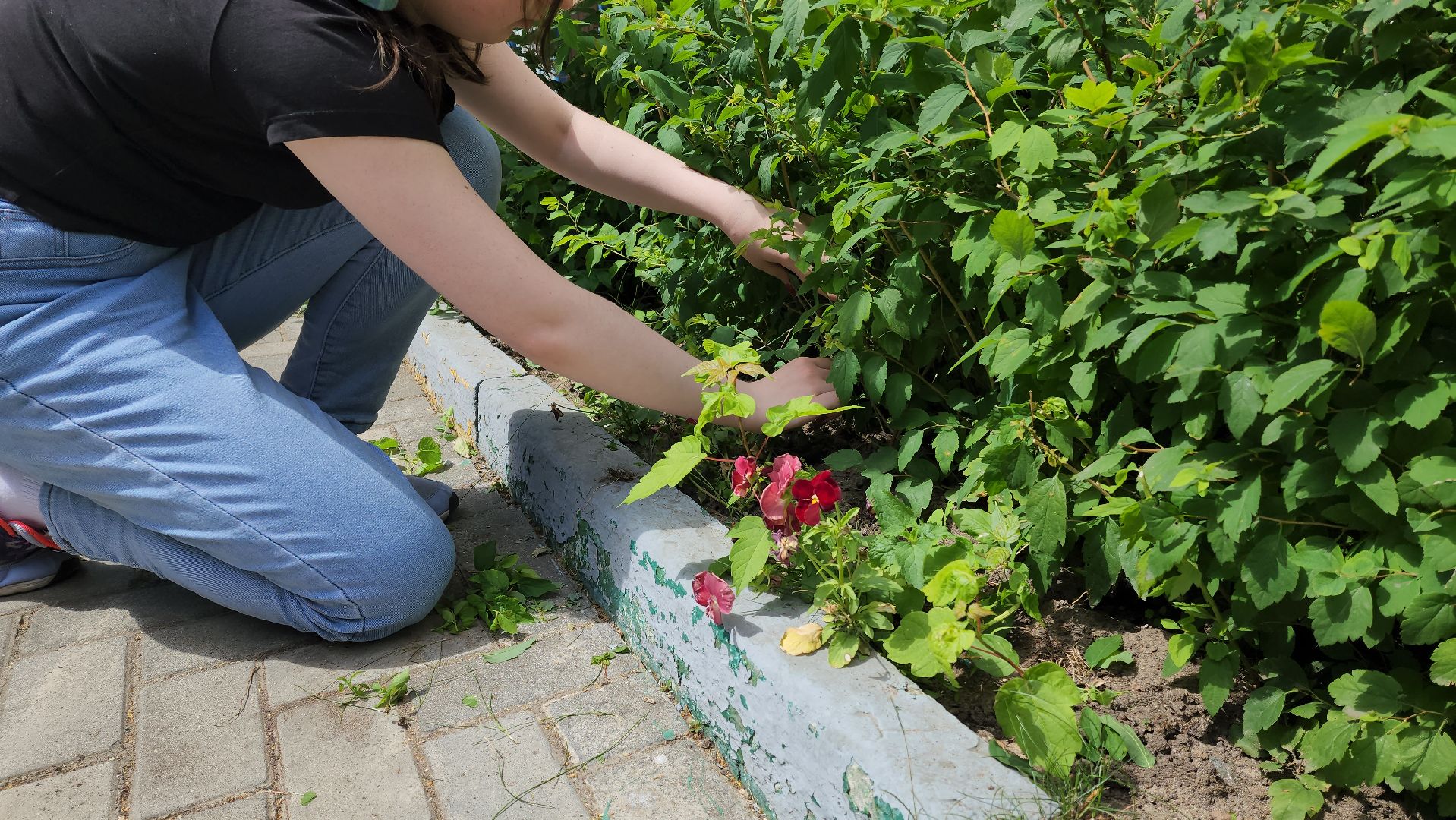 школьные каникулы, трудовая занятость подростков, трудовая бригада,