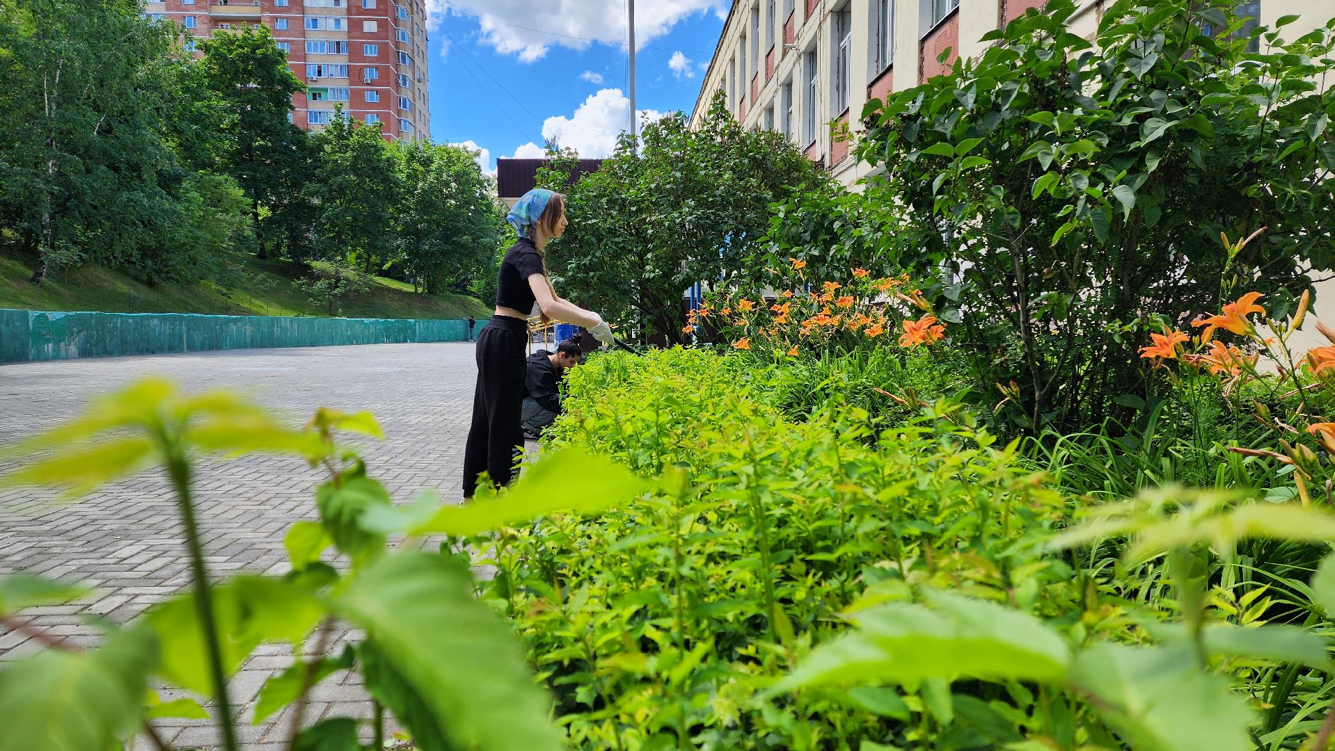 школьные каникулы, трудовая занятость подростков, трудовая бригада,