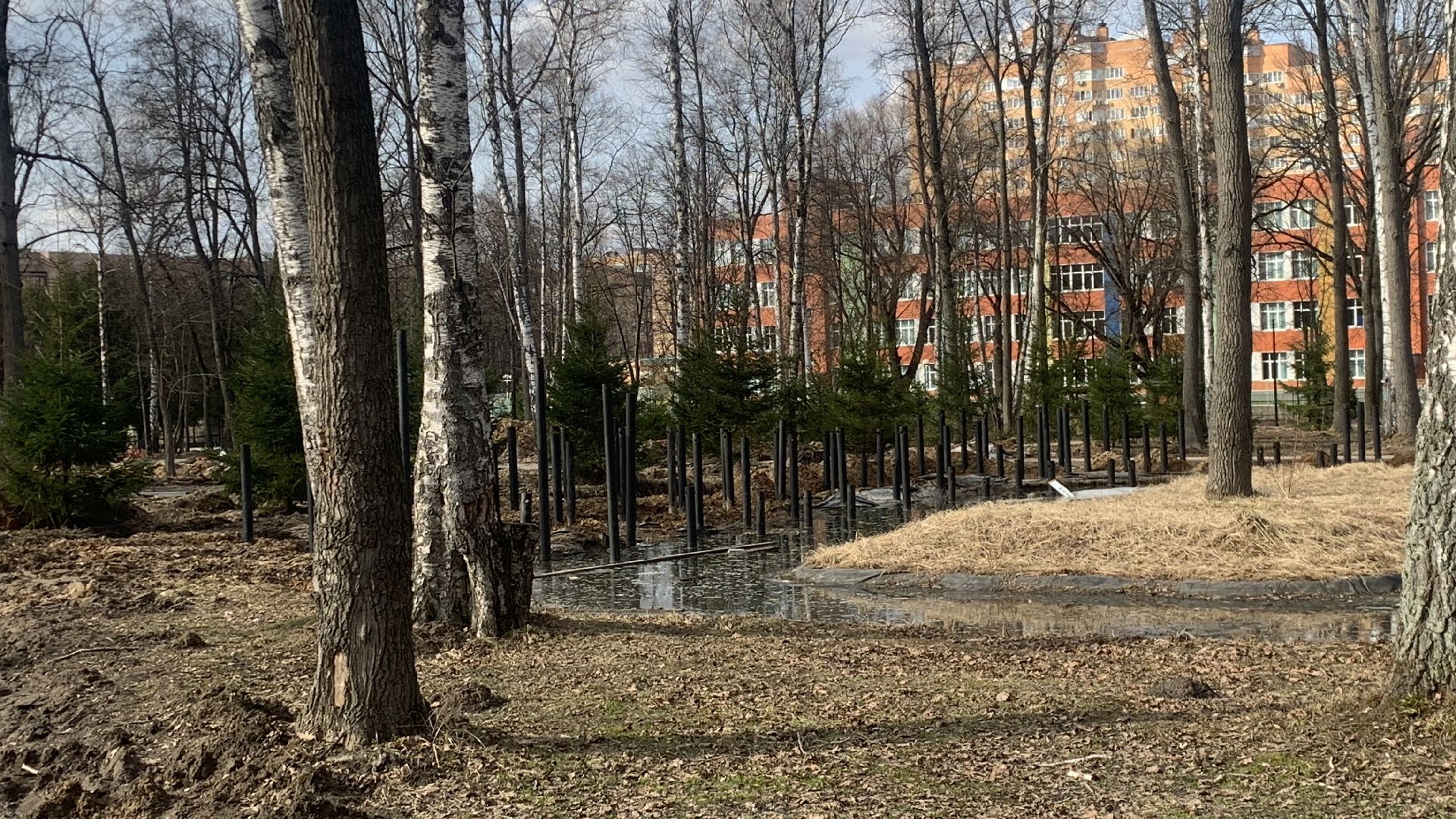 Ступино, благоустройство, парк