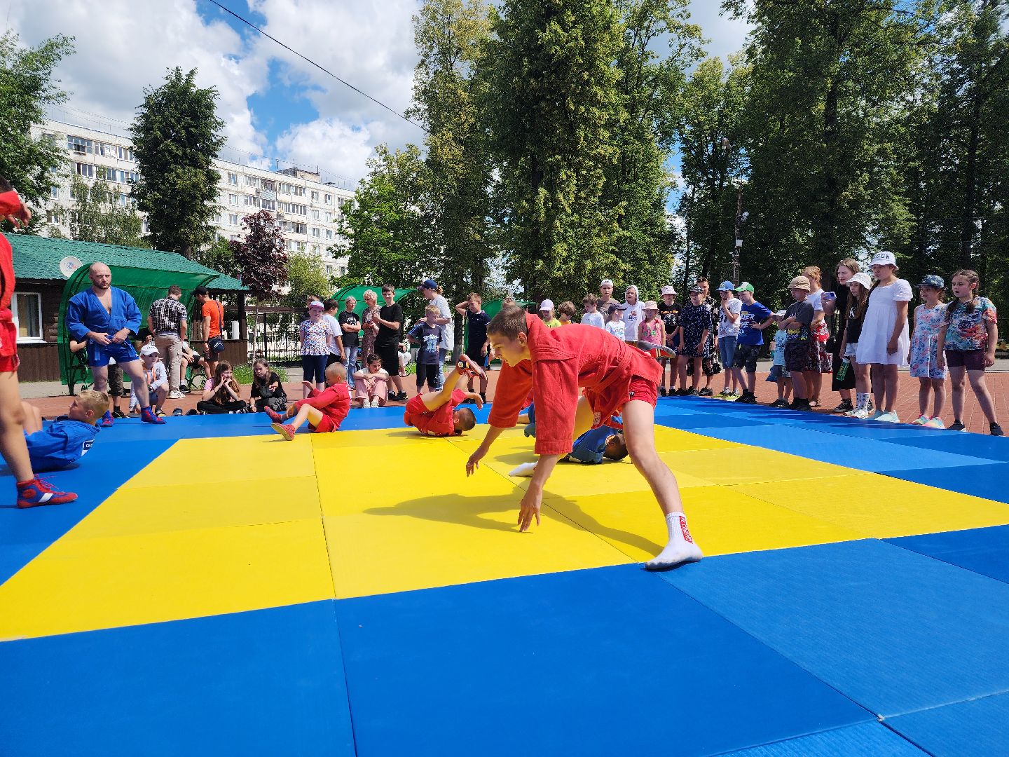 Павловский Посад, Городской округ Павловский Посад, Самбо, Занятия, Школьники, Упражнения,