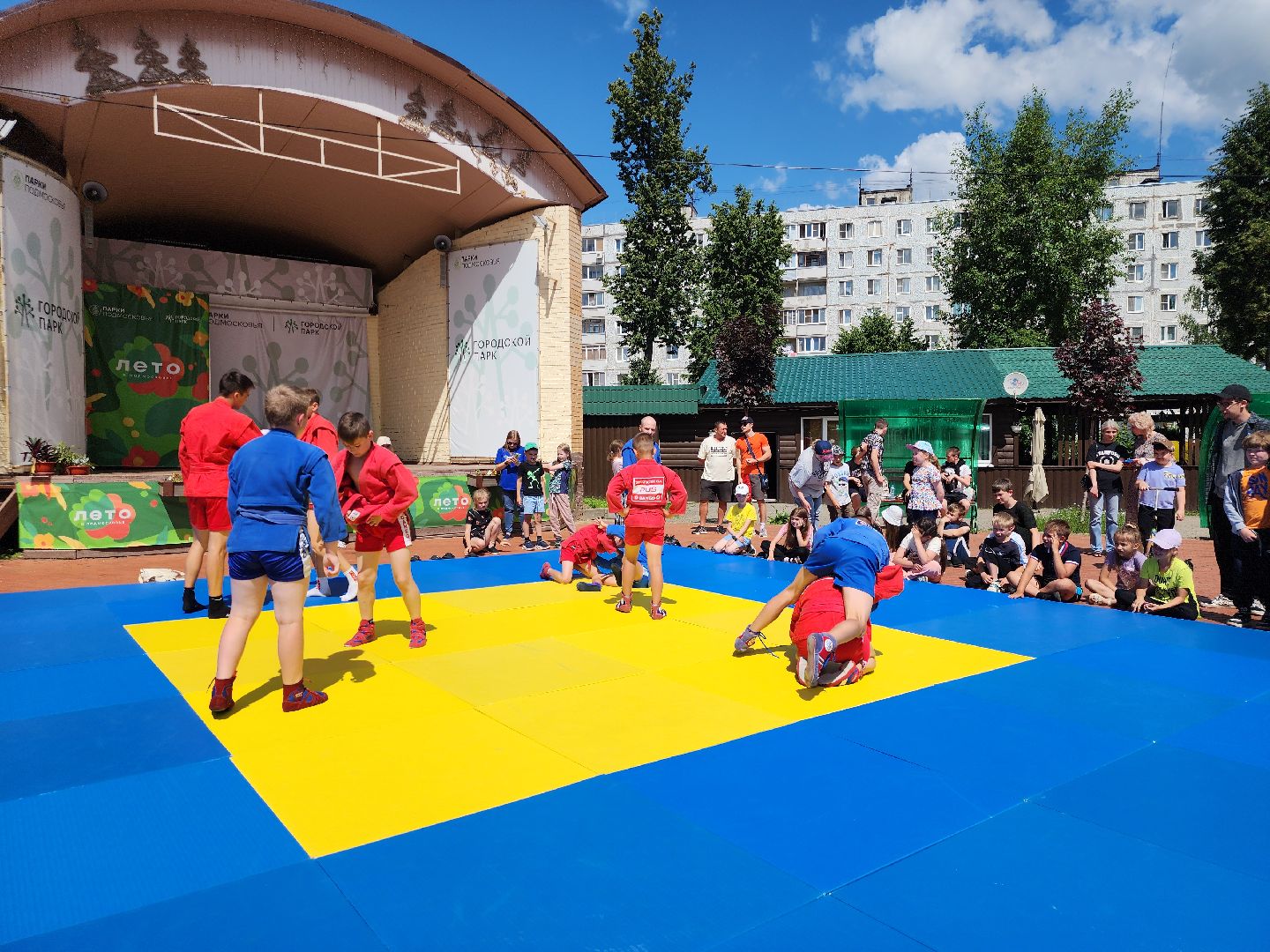 Павловский Посад, Городской округ Павловский Посад, Самбо, Занятия, Школьники, Упражнения,