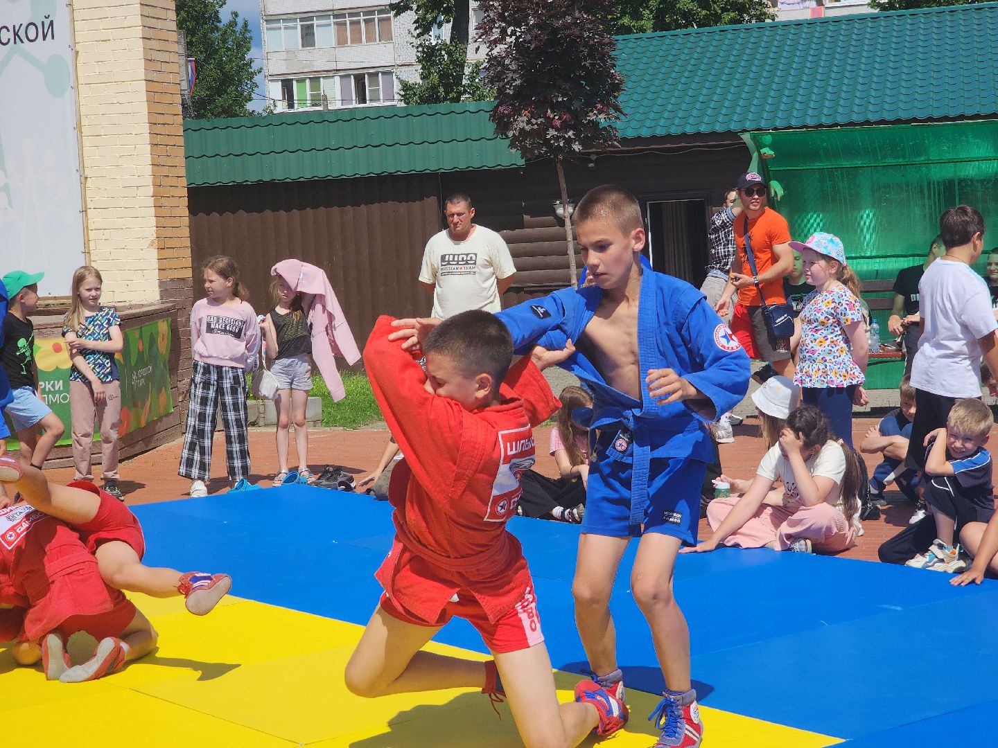 Павловский Посад, Городской округ Павловский Посад, Самбо, Занятия, Школьники, Упражнения,