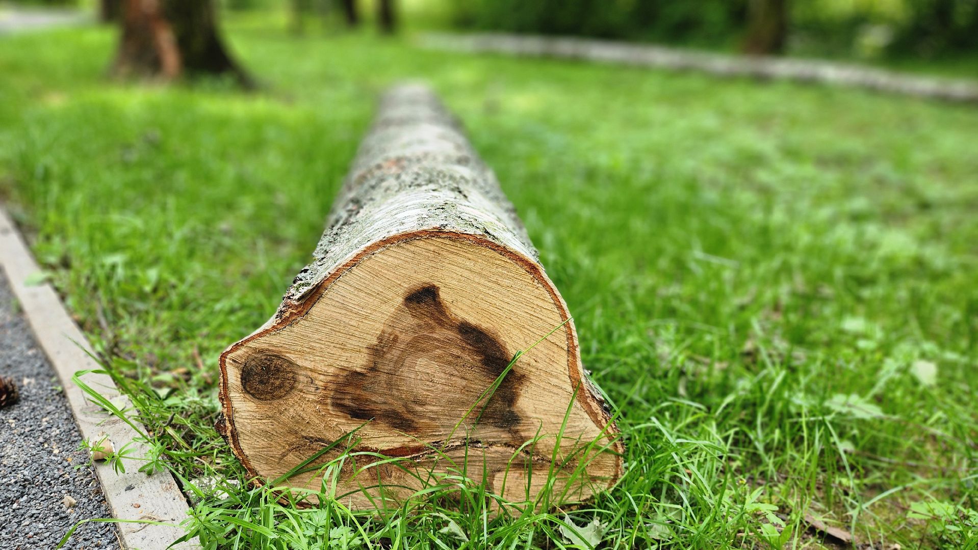 парк Гальчино, выездная администрация, Домодедово,