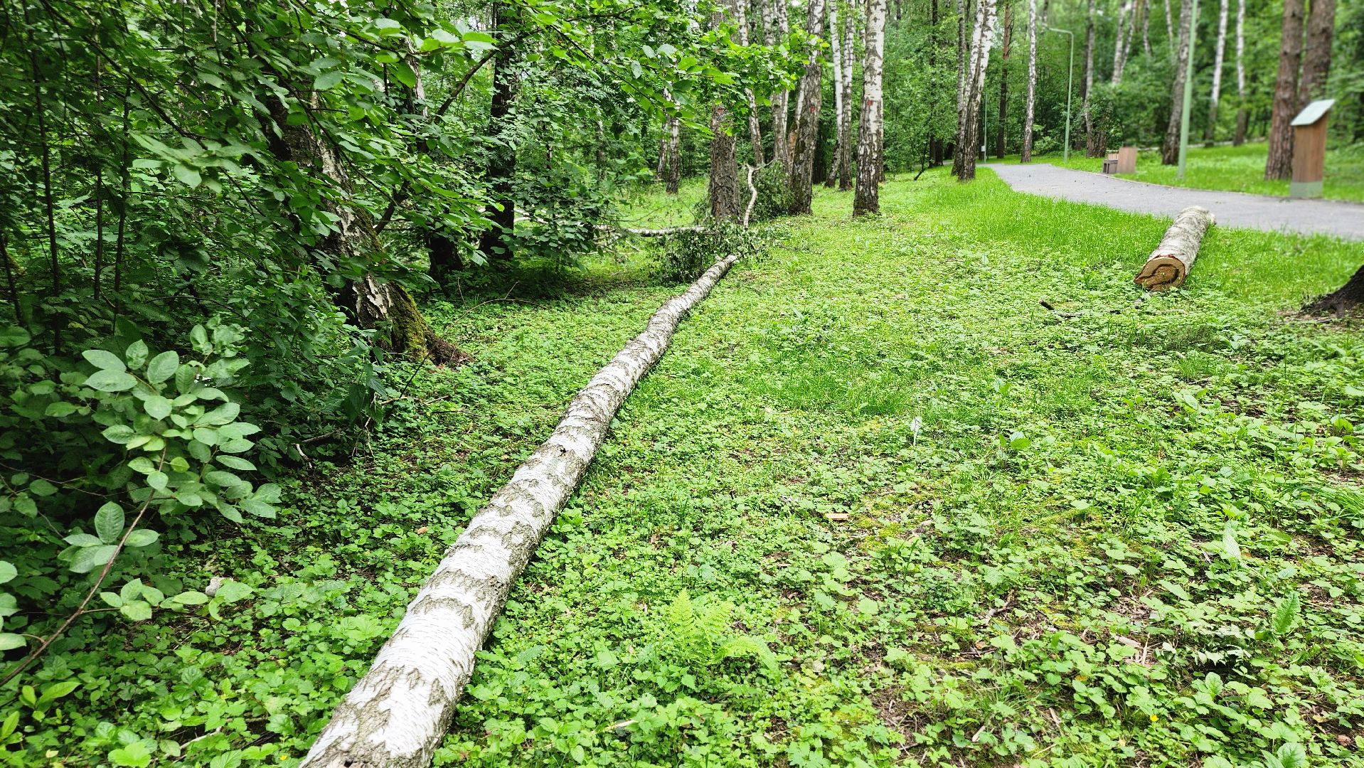 парк Гальчино, выездная администрация, Домодедово,