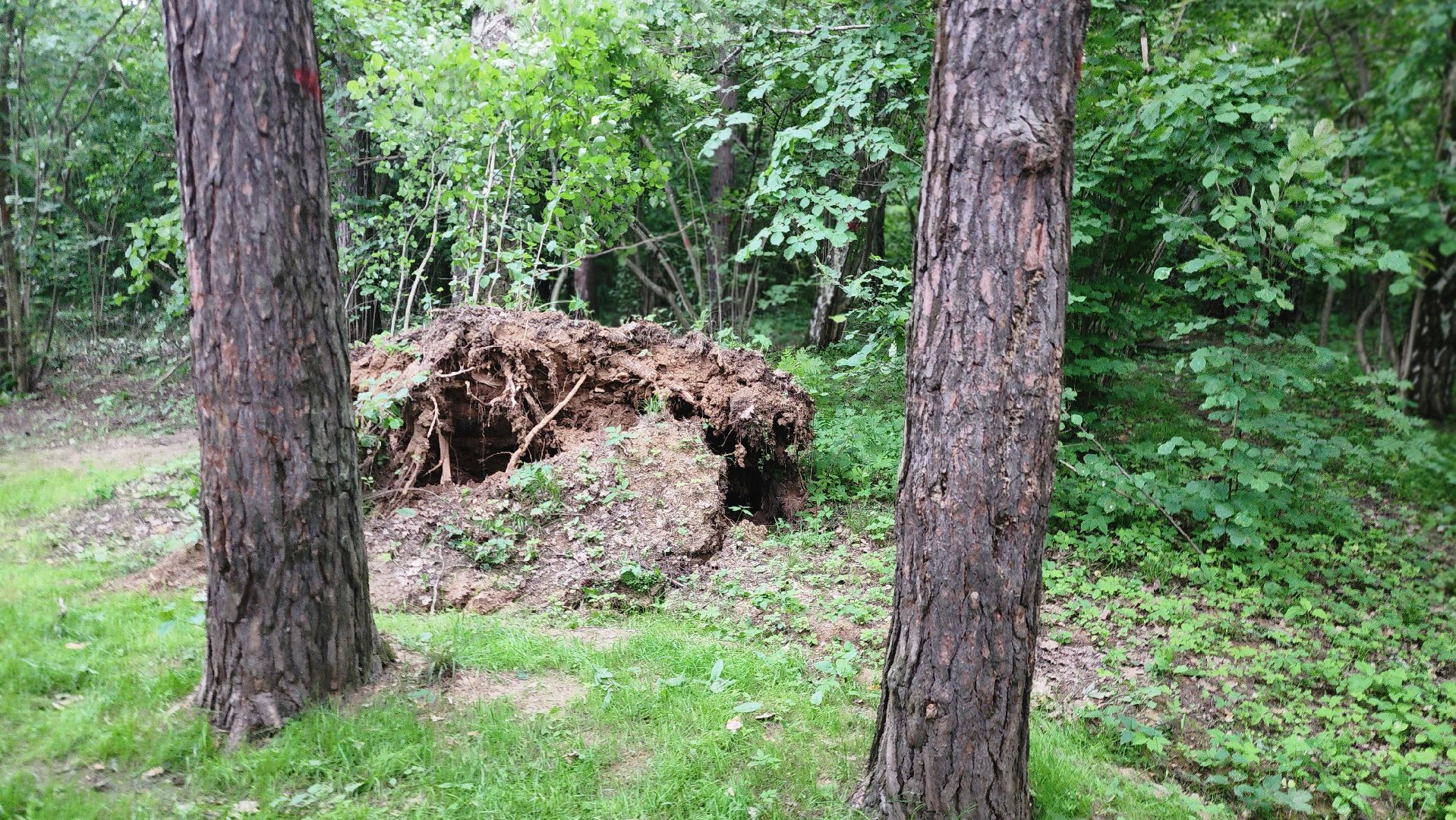 парк Гальчино, выездная администрация, Домодедово,