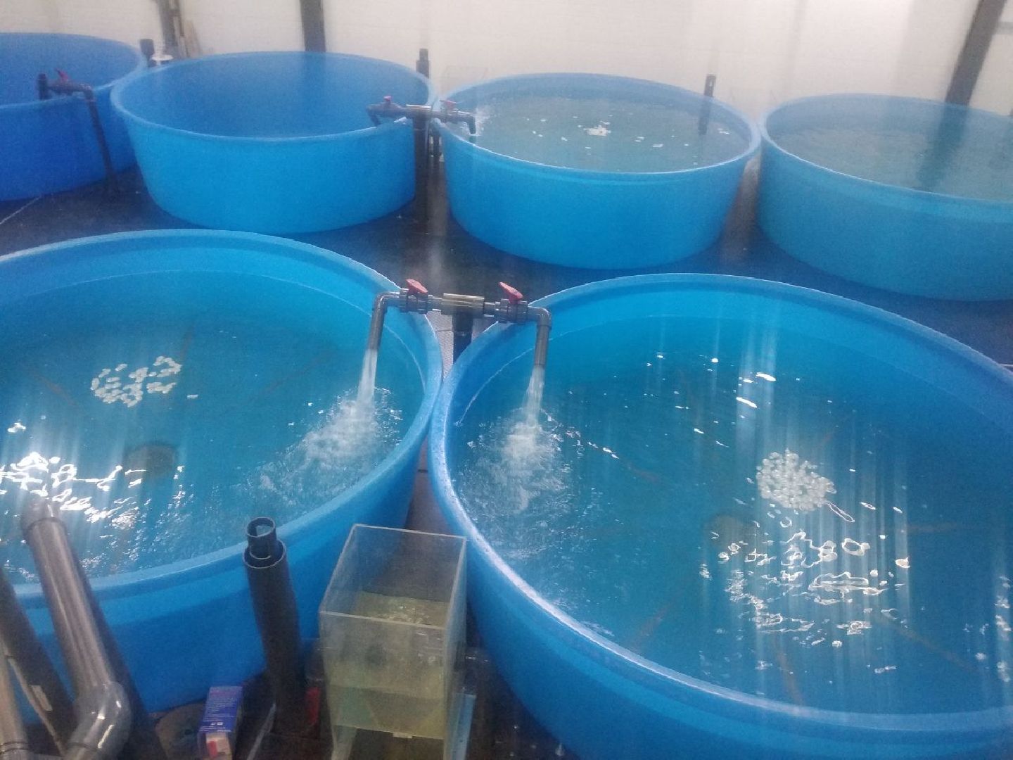 Дмитров, ВНИРО, ВНИИПРХ, Росрыболовство