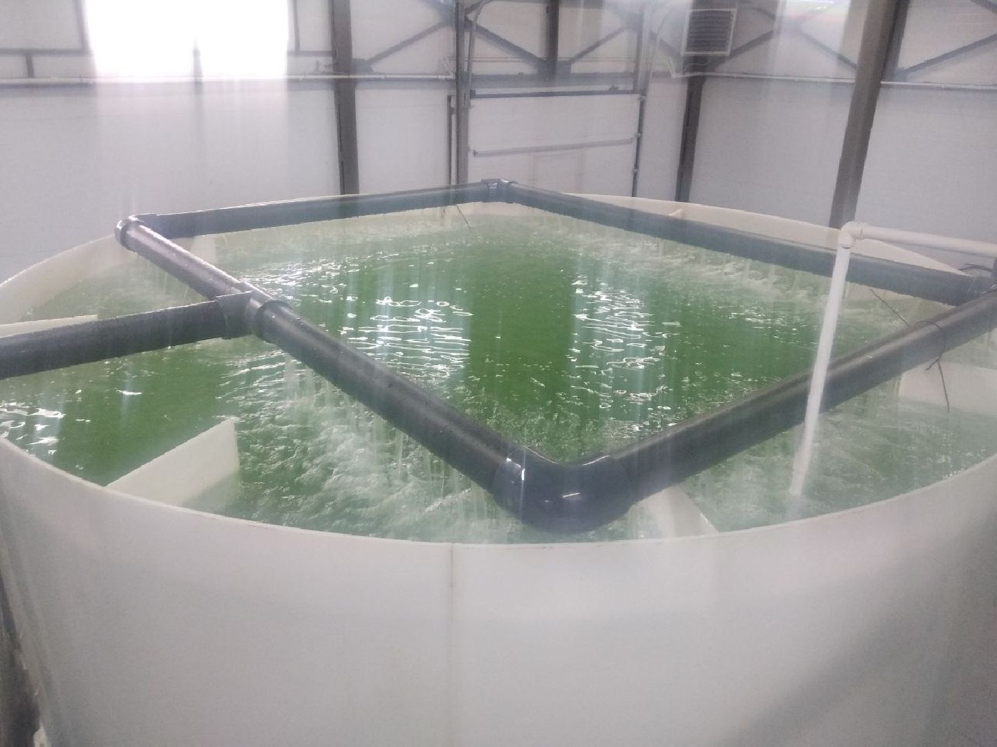 Дмитров, ВНИРО, ВНИИПРХ, Росрыболовство