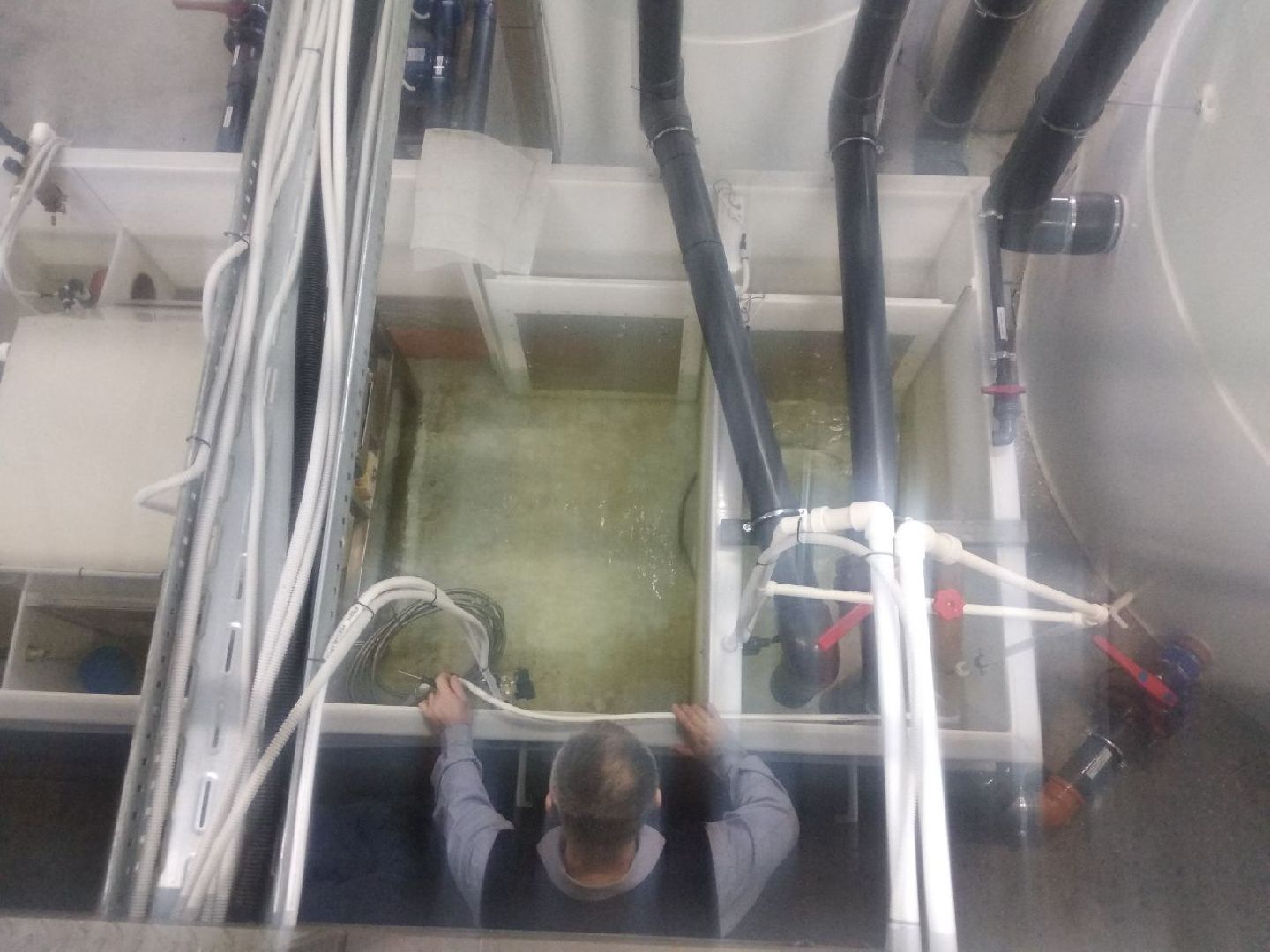 Дмитров, ВНИРО, ВНИИПРХ, Росрыболовство