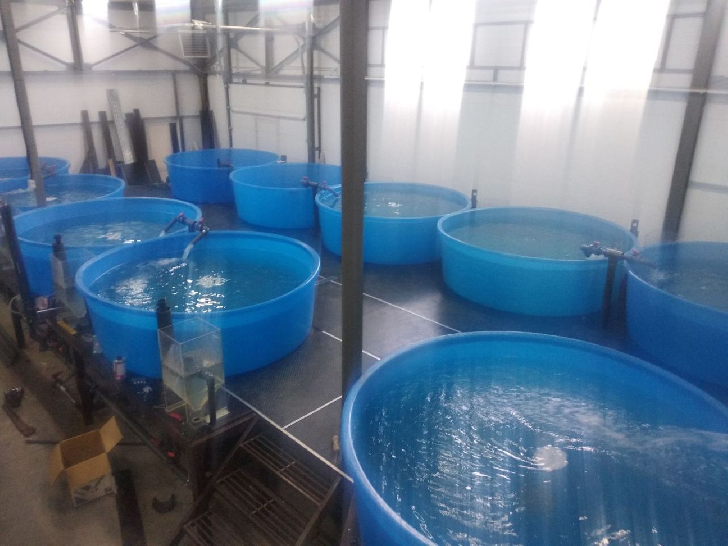 Дмитров, ВНИРО, ВНИИПРХ, Росрыболовство