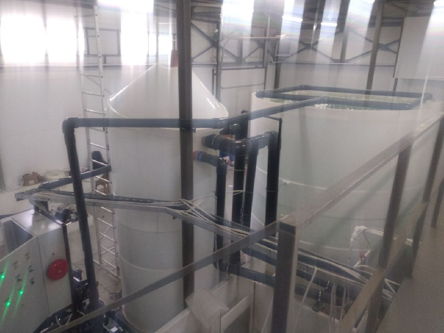 Дмитров, ВНИРО, ВНИИПРХ, Росрыболовство