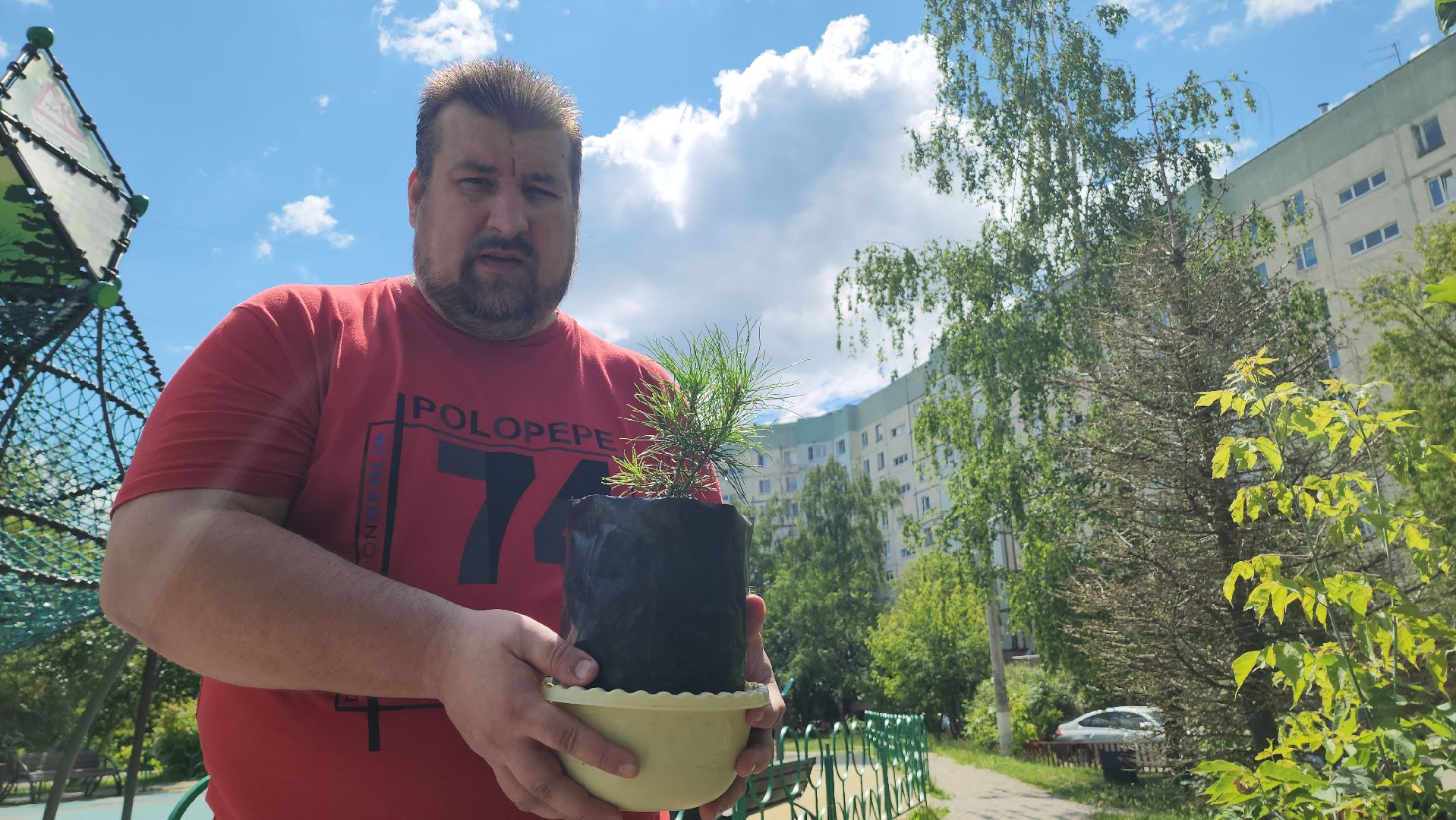 кедры, экология, люди, кедры у дома, красногорск, проект,