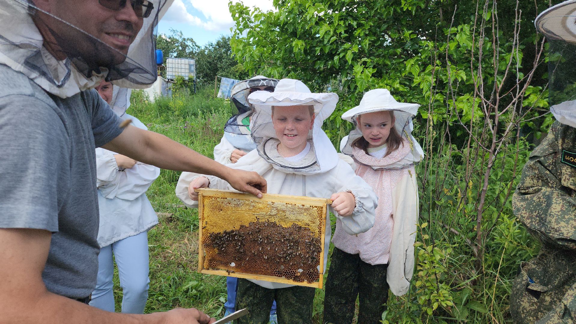 шатура, филисово, экскурсия для школьников, пасека, школьное лесничество,