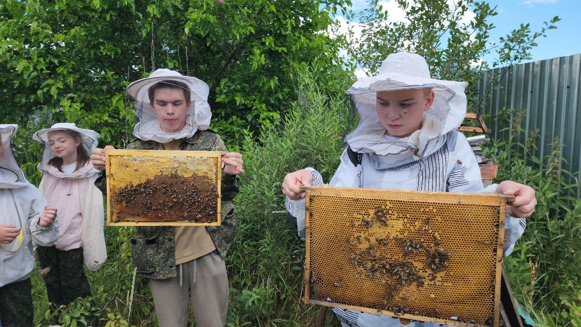 шатура, филисово, экскурсия для школьников, пасека, школьное лесничество,