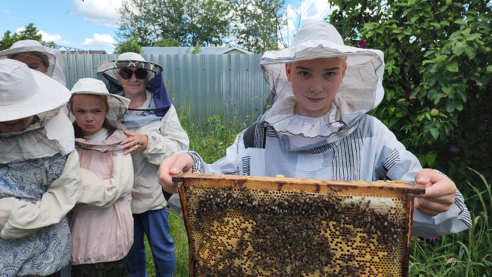 шатура, филисово, экскурсия для школьников, пасека, школьное лесничество,
