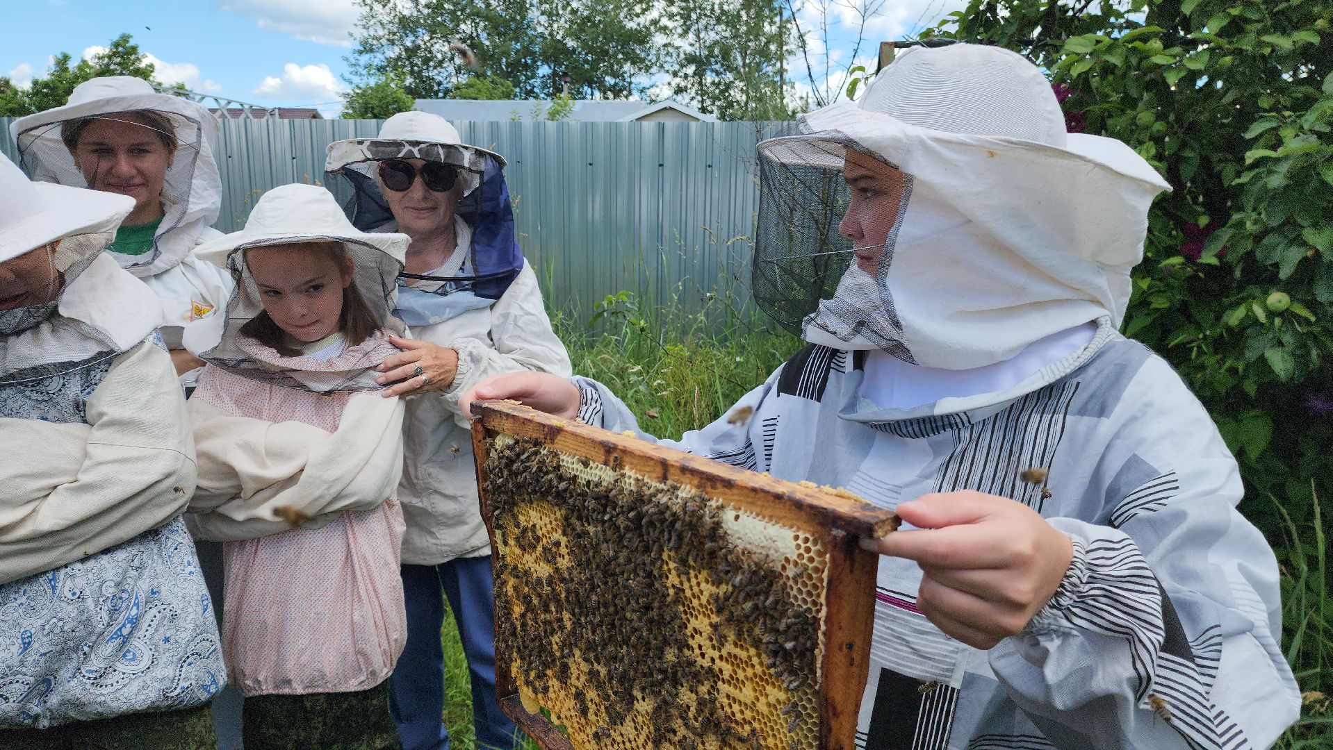шатура, филисово, экскурсия для школьников, пасека, школьное лесничество,