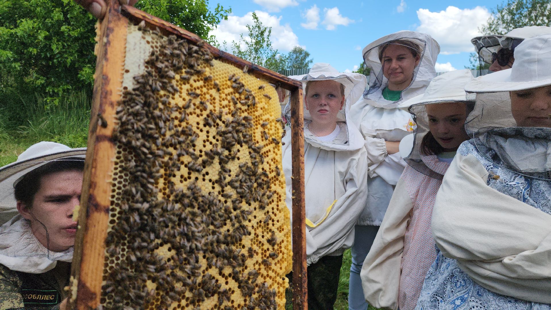 шатура, филисово, экскурсия для школьников, пасека, школьное лесничество,