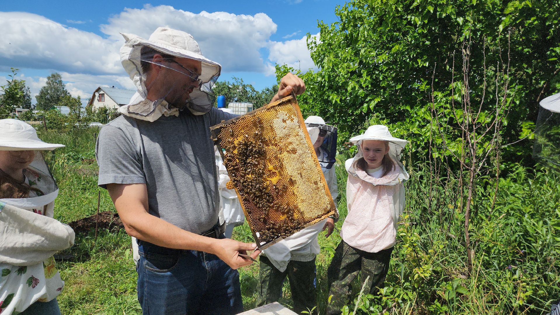 шатура, филисово, экскурсия для школьников, пасека, школьное лесничество,