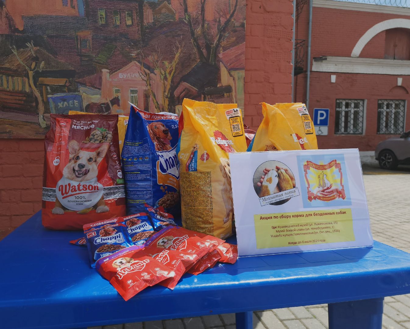 Коломна, благотворительная акция, помощь бездомным животным,