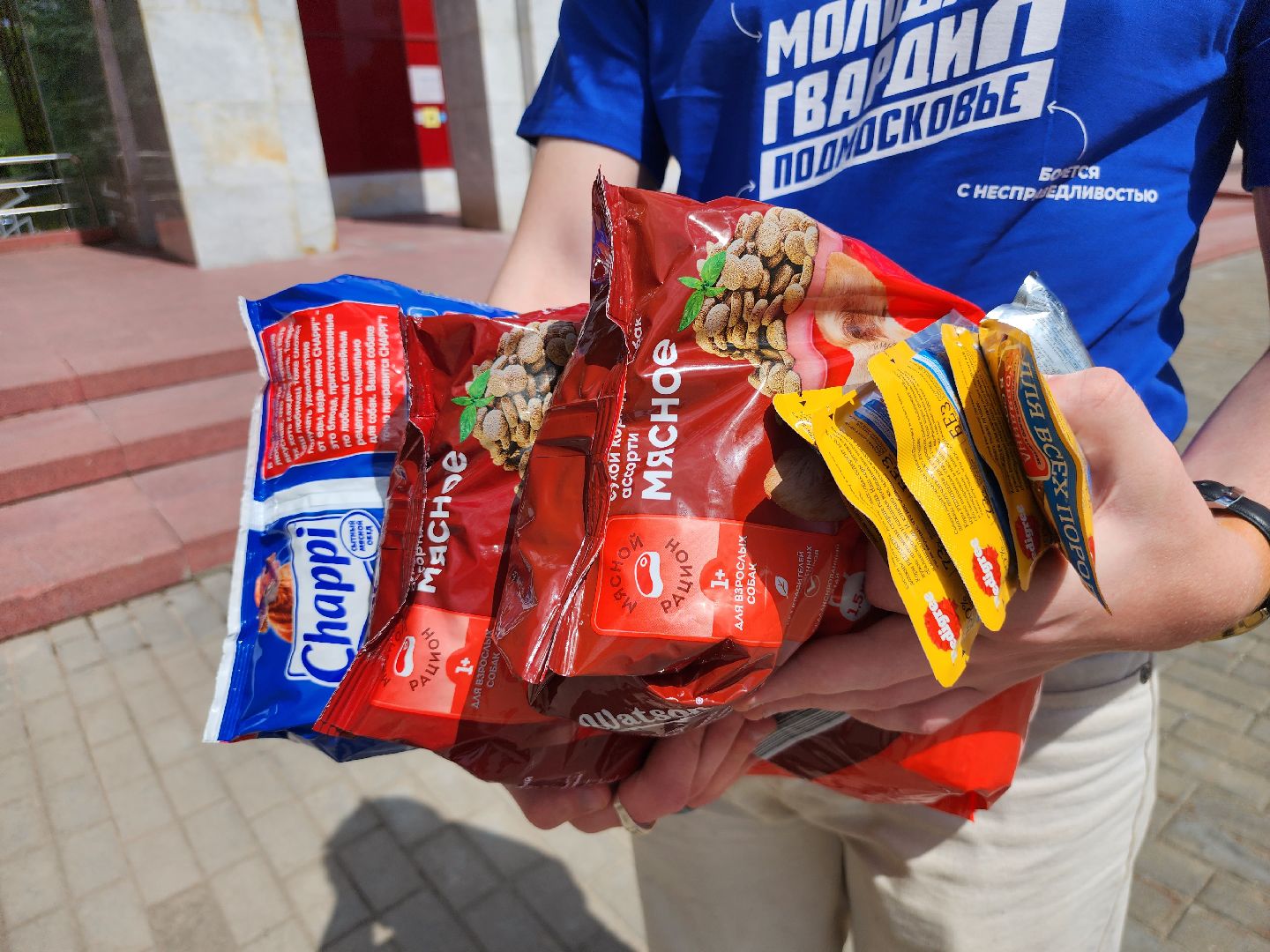 Коломна, благотворительная акция, помощь бездомным животным,