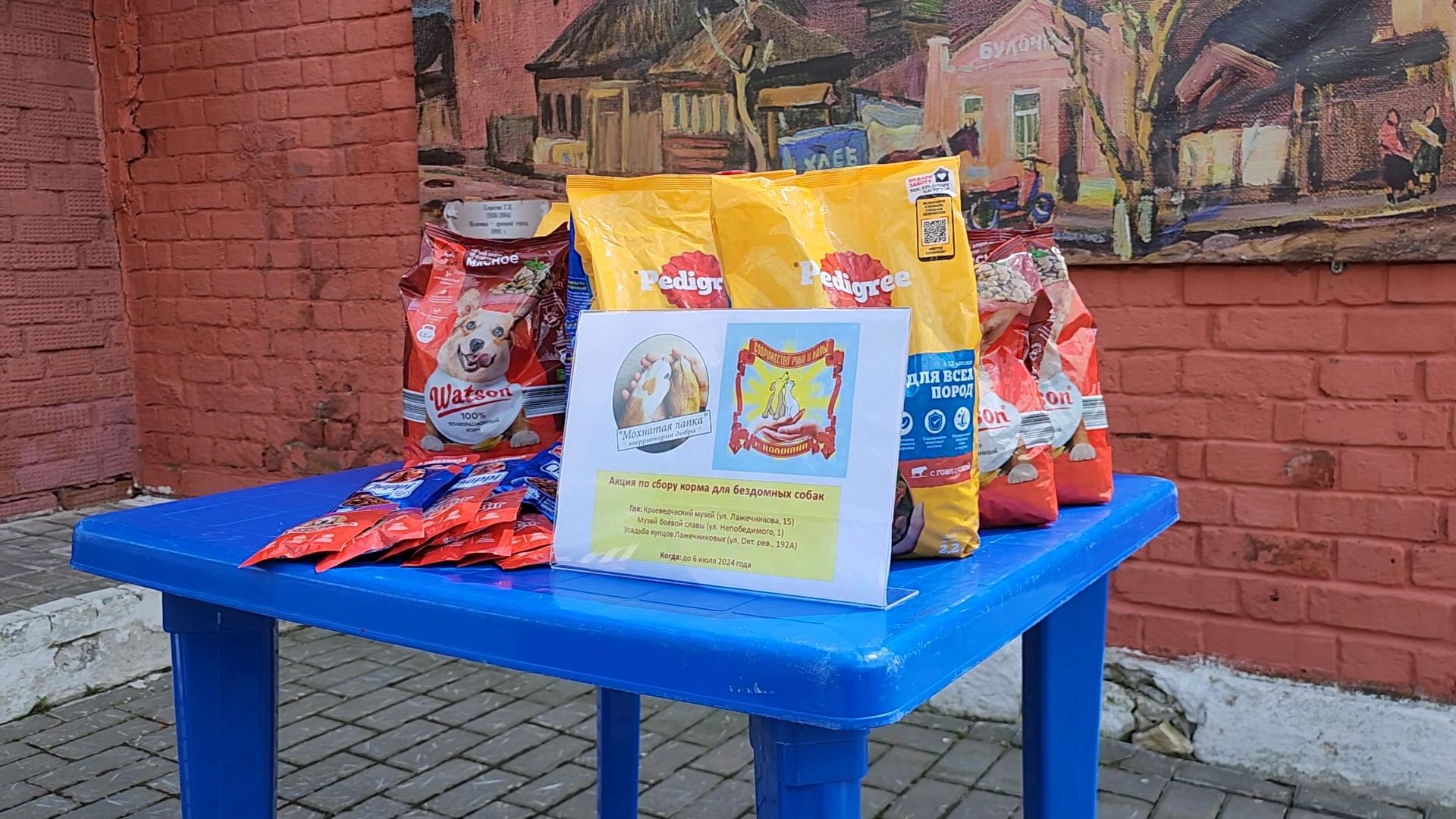Коломна, благотворительная акция, помощь бездомным животным,