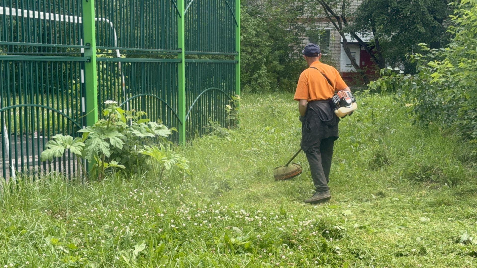 Солнечногорск, Уборка, покос травы, мбу, жители,