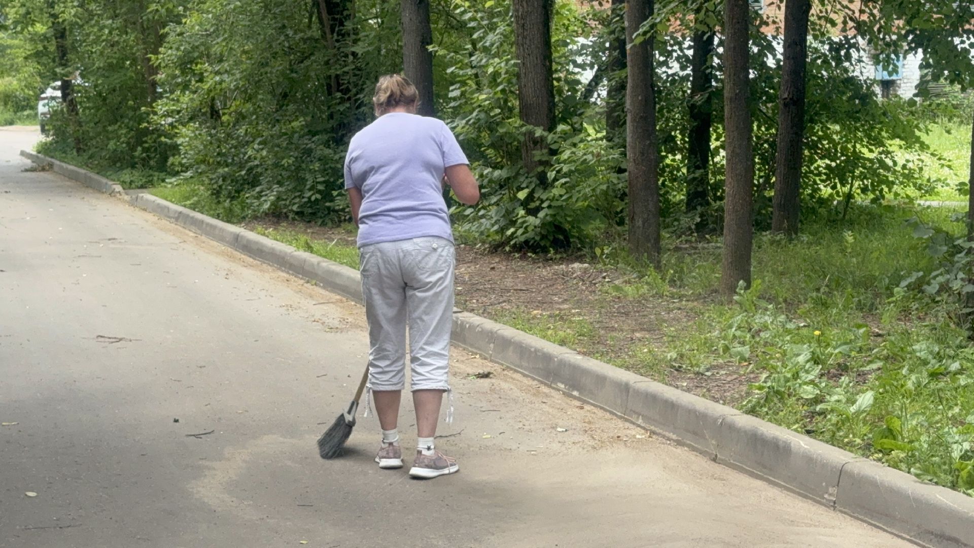 Солнечногорск, Уборка, покос травы, мбу, жители,