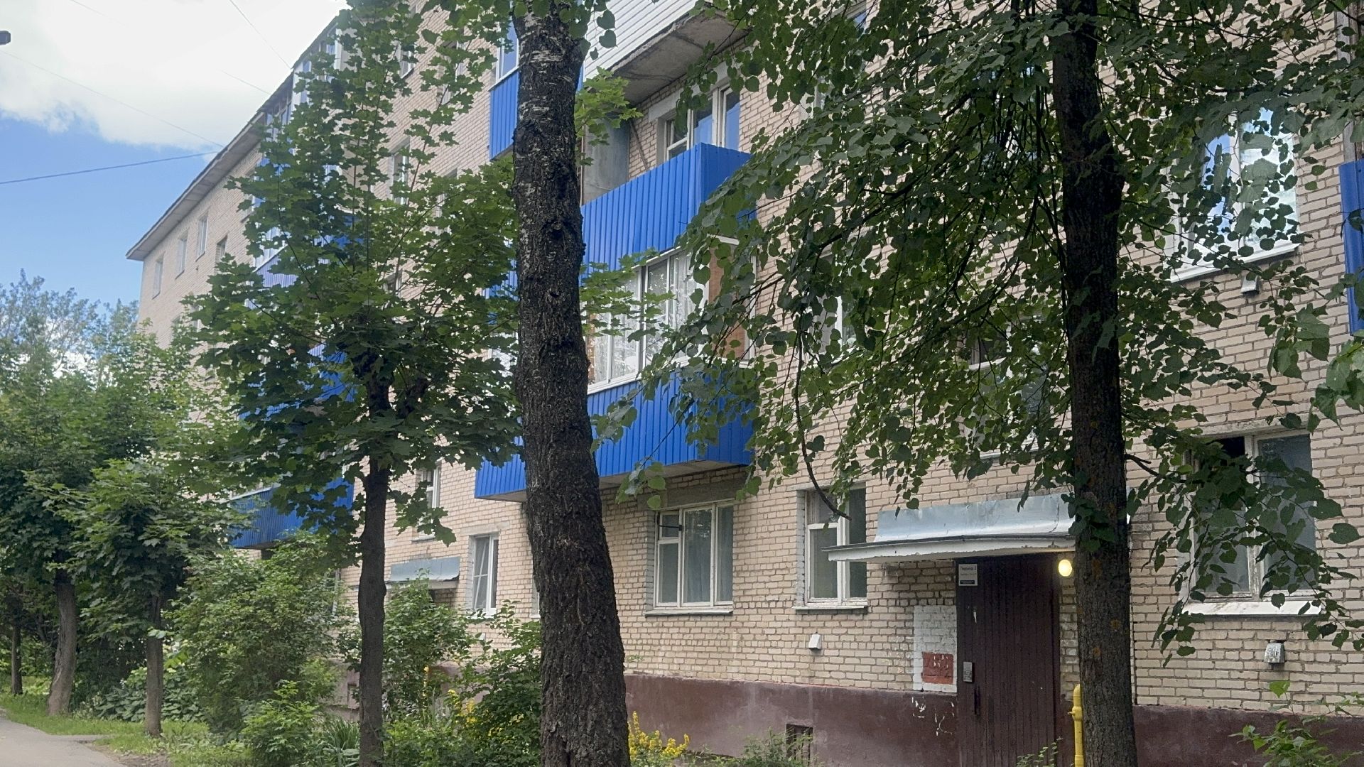 Солнечногорск, Уборка, покос травы, мбу, жители,