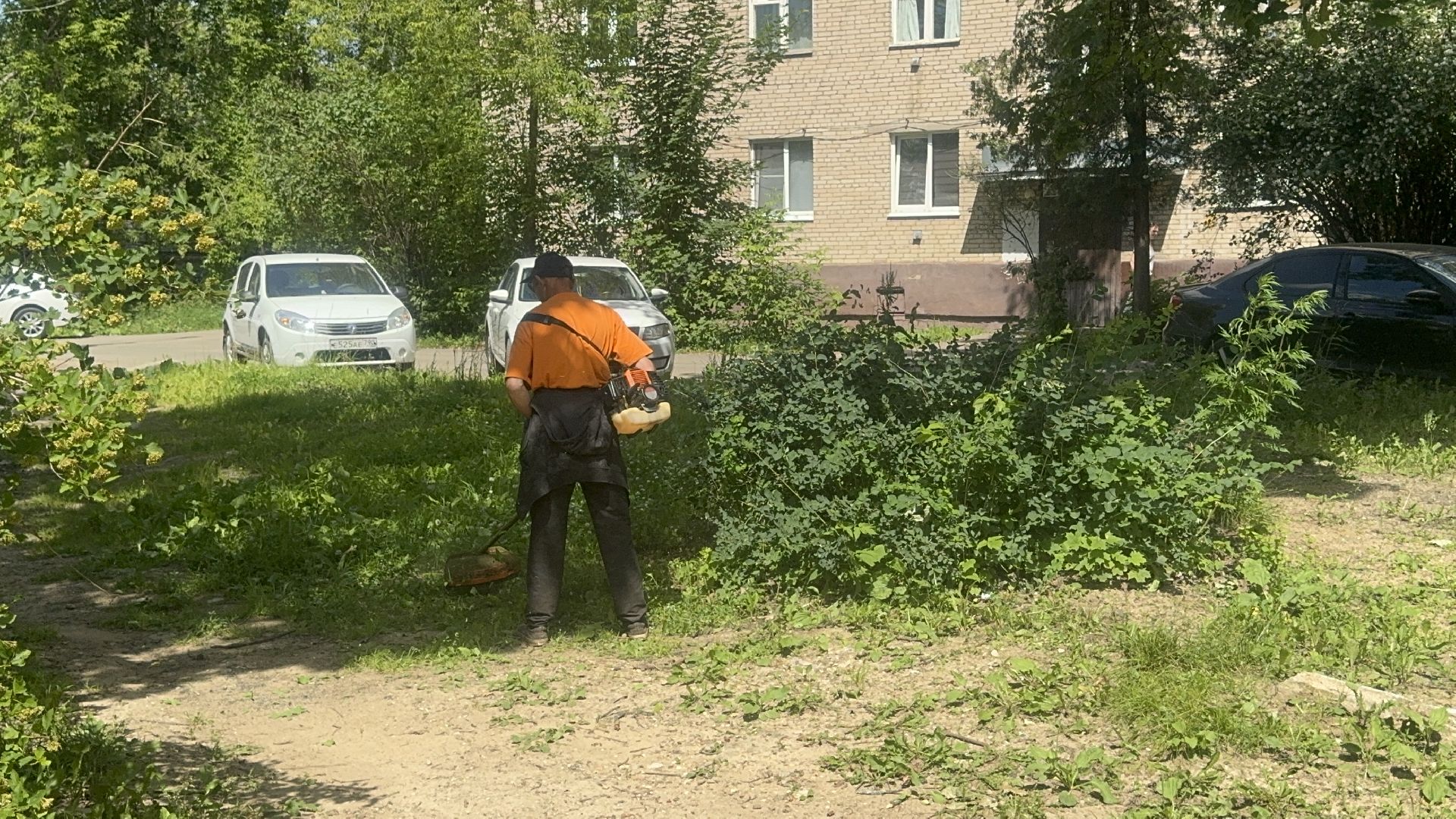 Солнечногорск, Уборка, покос травы, мбу, жители,